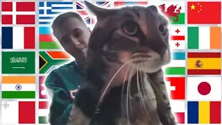 "Meow" in different languages meme