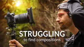 CRACKING Landscape Photography's CODE in the Woodland - Composition Tips