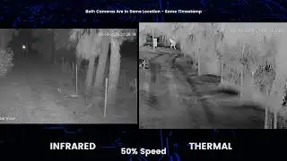 Thermal VS Infrared - Security Camera Comparison