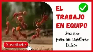 🤜 EL TRABAJO EN EQUIPO 🤛 motivación y liderazgo 😉✅