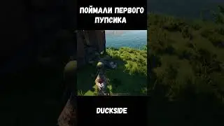 DUCKSIDE — выживач про уток со стволами !