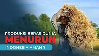 Produksi Beras Dunia Menurun