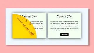 Awesome Image Hover with Clip path Effect | CSS Animation Examples