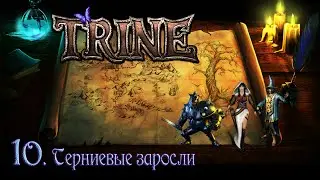 TRINE - #10. Терниевые заросли