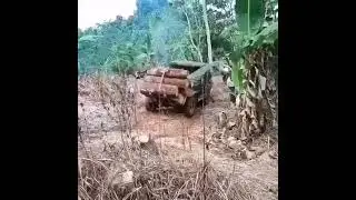 мини лесовоз))) папуасы готовят лес🙋‍♂️