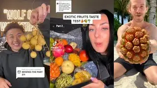 Exotic Fruits Compilation