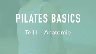 Pilates Basics – Teil I: Anatomie