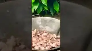 fried  belly  