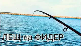 ЛЕЩ на ФИДЕР. КАК Я ЛОВЛЮ ЛЕЩА НА РЕКЕ.