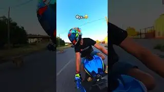 Когда СОБАКАМ очень нравятся мотоциклы😂 #bikelover #мото #bikelife #doglovers