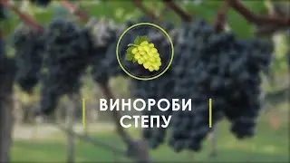 ВИНОРОБИ СТЕПУ. Історії виноробів Дніпропетровщини