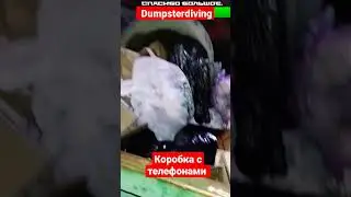 НАШËЛ КОРОБКУ С ТЕЛЕФОНАМИ НА ПОМОЙКЕ. 