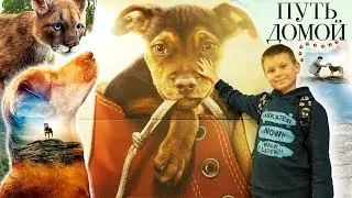 ПУТЬ ДОМОЙ 2019 Семейный фильм про собаку БЕЛЛА Смотреть ОБЗОР A Dog's Way Home Наши слезы УМИЛЕНИЕ