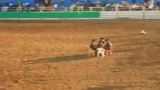 Redneck Roulette: Bull Nearly Takes Out Cowboy