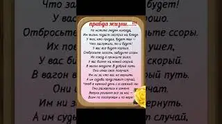 Правда жизни