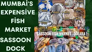 COLABA FISH MARKET MUMBAI #trending NEW UPDATE #2024