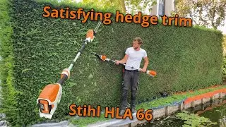 Satisfying hedge trim with the Stihl HLA66 pole hedger. #stihl #hla66