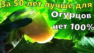 1 Литр под огурцы, томаты, перец и они прут как бешенные, даже дохлые вмиг заплодоносят