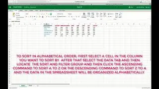 HOW TO SORT DATA IN ALPHABETICAL ORDER IN EXCEL ONLINE ONEDRIVE