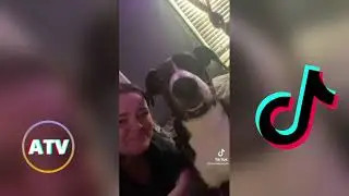 TIKTOK take a bite trend *DOG EDITION* (MUST WATCH)