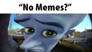 No Memes?