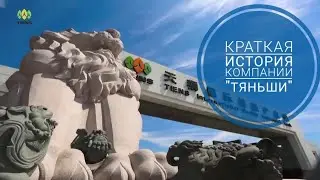 Краткая история компании Тяньши