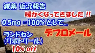 【減薬】 ランドセン（リボトリール） 10％ off 【デプロメール断薬 !!! ..😄】　　／ パニック障害、うつ、SSRI　　　／ 0.5mg=100%として　　2023/2/28