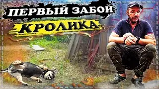 🐇 Забой кролика. Обновка для Жоры, и что подсунул Добро Цен?