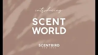 Discover Scent World, a Scentbird original series