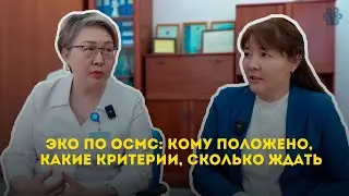 ЭКО по ОСМС: кому положено, какие критерии, сколько ждать