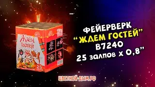 Салют, фейерверк Ждем гостей 25 х 0,8