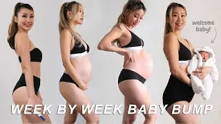 PREGNANCY TRANSFORMATION 🤰Week By Week Progress