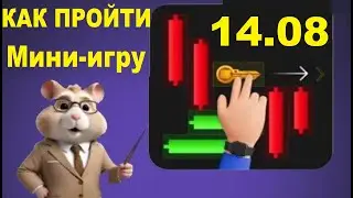 Как пройти Мини-игру в Hamster Kombat 14 августа? Получаем ключ в хомяках!