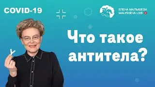 Что такое антитела?