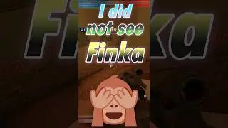 I did not see Finka (R6S)