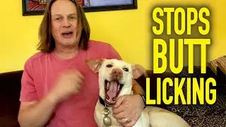 Fix Your Dogs Anal Sacs - WITHOUT Touching Them!