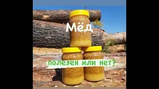 Мнение в отношении пользы мёда поменялось.