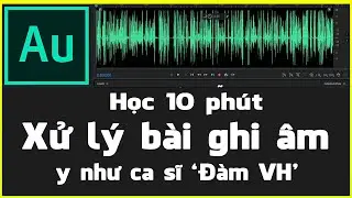 Cách xử lý file ghi âm như ca sĩ với Ghi âm Adobe Auditon | Phần mềm xử lý âm thanh | NT Software