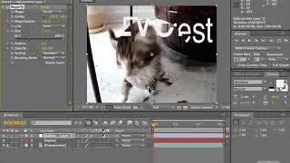 ADOBE AFTER EFFECTS: ADOBE AFTER EFFECTS ADJUSTMENT LAYERS  || AFTER EFFECTS TUTORIAL FOR BEGINNERS