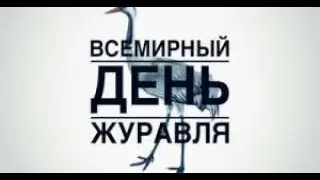 Всемирный День журавля-12 сентября.С Днём журавля!Праздник.