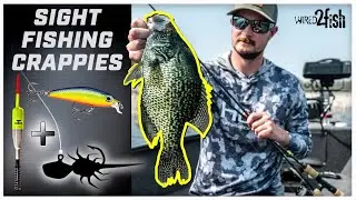 How to Catch BIG Crappies with Jigs and Bobbers + Jerkbaits‼️