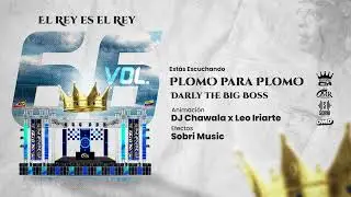 Plomo Para Plomo - Darly The Big Boss Ft Rey de Rocha (Vol.66)