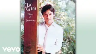 Juan Gabriel - Tú Me Dijiste Adiós (Cover Audio)