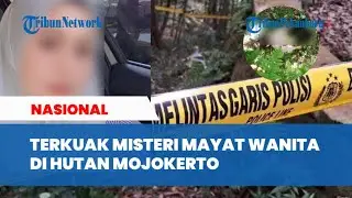 MISTERI Mayat Wanita Kemeja Pink di Hutan Mojokerto Terungkap, Polisi Ungkap Identitas Korban