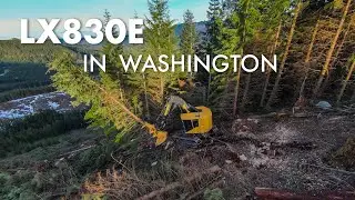 Tigercat LX830E Feller Buncher in Washington