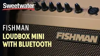 Fishman Loudbox Mini with Bluetooth Overview