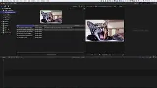 Final Cut Pro X 10.3 -  Смарт коллекции