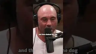 Joe Rogan: How to deal with dogs eating chickens..👀😂🔪