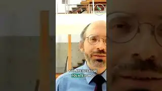 Nutritional Yeast: Safe for Daily Use? Uncover the Facts! ft. Dr. Michael Greger