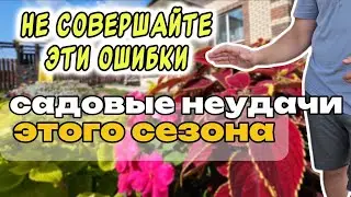 Не делайте так! Ошибки и неудачи в моем саду. Делюсь, чтобы вы не повторяли